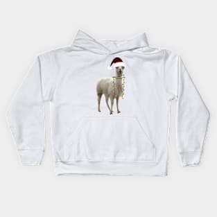 Christmas Llama Kids Hoodie